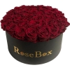 35-punase roosiga must karp.jpeg