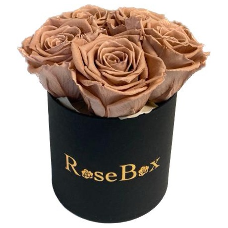 5-chocolate roosiga must karp.jpeg