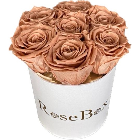 7-chocolate roosiga valge karp.jpeg