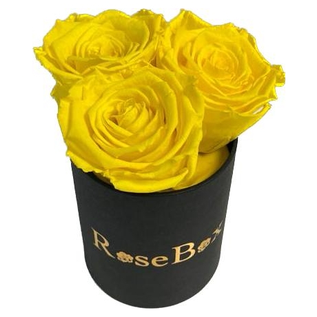 3-kollase roosiga must karp.jpeg