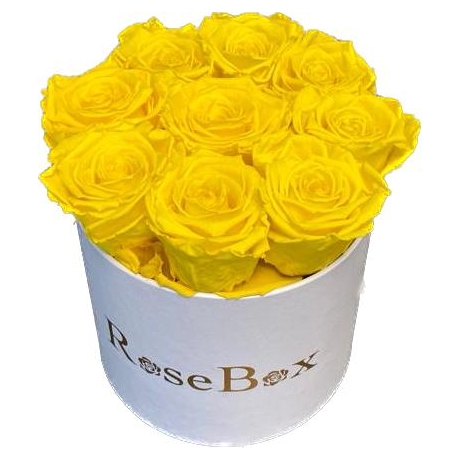 9-kollase roosiga valge karp.jpeg