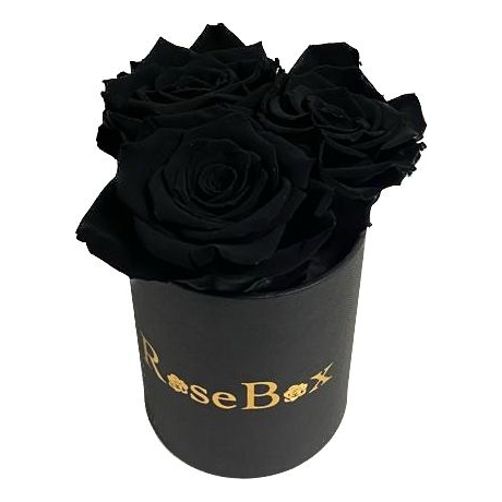 3-musta roosiga must karp.jpeg