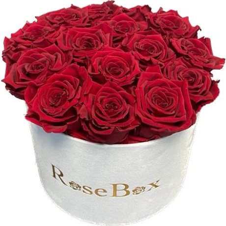 15-punase roosiga valge karp.jpeg