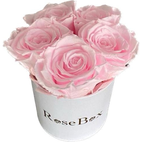 5-roosa roosiga valge karp.jpeg