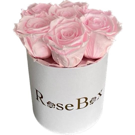 7-roosa roosiga valge karp.jpeg
