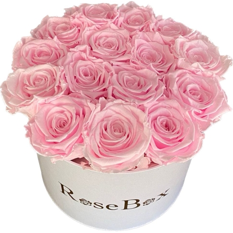 15-roosa roosiga valge karp