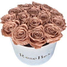 15-chocolate roosiga hall sametkarp
