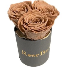 3-Chocolate roosiga hall karp