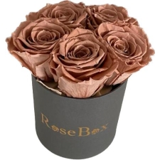 5-chocolate roosiga hall karp