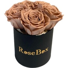 5-chocolate roosiga must karp