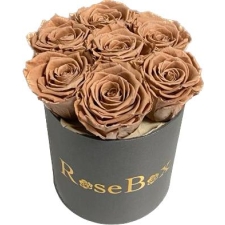7-chocolate roosiga hall karp