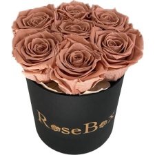 7-chocolate roosiga must karp