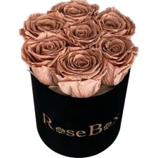 7-chocolate roosiga must sametkarp