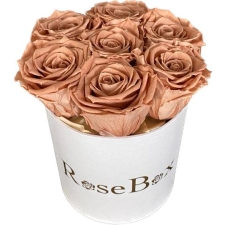 7-chocolate roosiga valge karp
