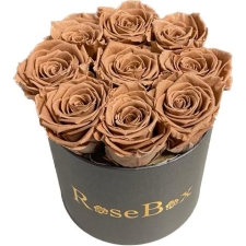 9-chocolate roosiga hall karp