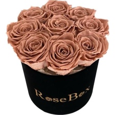 9-chocolate roosiga must sametkarp