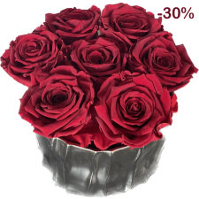 7- punast roosi hõbedases keraamilises vaasis -30%