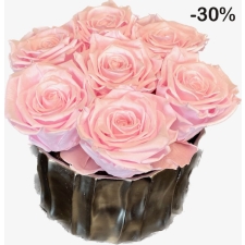 7-roosat roosi hõbedases keraamilises vaasis -30%