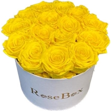15-kollase roosiga valge karp