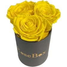 3-kollase roosiga hall karp