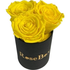 3-kollase roosiga must karp