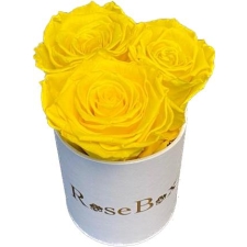 3-kollase roosiga valge karp