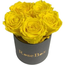 5-kollase roosiga hall karp