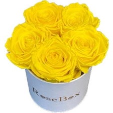 5-kollase roosiga valge karp