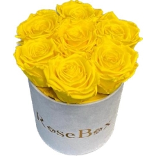 7-kollase roosiga hall sametkarp