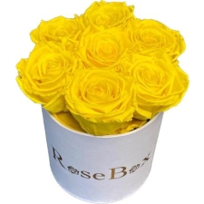 7-kollase roosiga valge karp