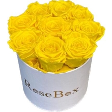 9-kollase roosiga valge karp