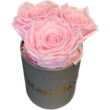 3-roosa roosiga hall karp