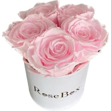 5-roosa roosiga valge karp