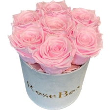 7-roosa roosiga hall sametkarp