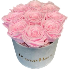 9-roosa roosiga hall sametkarp