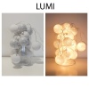 LUMI.jpg