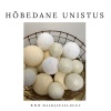 Hõbedane unistus.jpg
