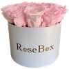 15-roosa roosiga valge karp.