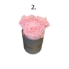 3-roosa roosiga hall karp.jpg